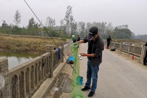 秋雨连绵钓鱼技巧大揭秘（钓鱼秘籍帮你应对连雨降温的秋季挑战）