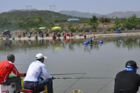 闷热死水钓鱼技巧（如何在闷热天气中提高钓鱼效果）