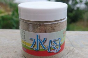 钓鱼小药的开饵技巧（技巧与关键诀窍让你钓鱼事半功倍）