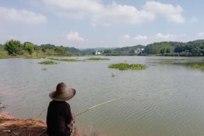 山间急流小河钓鱼技巧（探寻鱼儿踪迹）