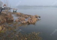 水域水草钓鱼技巧与方法（探秘水草中的渔乐世界）