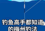 夏天高温天气钓鱼技巧（享受夏日炙烤中的渔乐必备的高温钓鱼技巧）