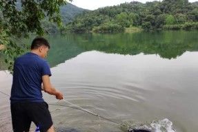 夏天下雨天钓鱼的三大技巧（享受雨中垂钓）