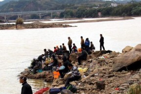 梅江河里钓鱼的技巧与经验（掌握好钓点、饵料和钓具）