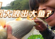 大风浪手竿钓鱼技巧教学（掌握钓鱼技巧，迎接大风浪时的挑战）