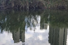 河道流水口钓鱼技巧（掌握技巧）