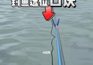 沙滩钓鱼技巧（掌握钓鱼技巧）