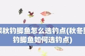 冬春枯水期钓鱼钓点选择技巧（寻找适合冬春枯水期钓鱼的地点关键）