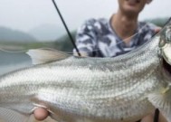 海水涨潮钓鱼技巧（钓鱼爱好者必备的成功秘籍）