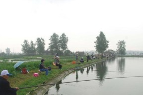 顺水流钓鱼的技巧（掌握流水中的窍门）