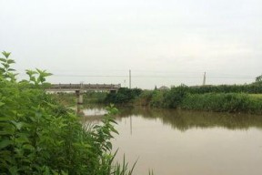 梅雨时节钓鱼技巧（解密梅雨季节中的钓鱼秘籍）