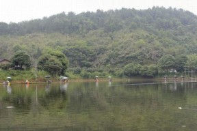 夏天水库手竿钓鱼技巧（享受清凉夏日）