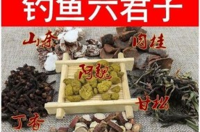 钓鱼技巧与最佳配料选择（窍门揭秘，提升钓鱼效果的最佳配料选择！）