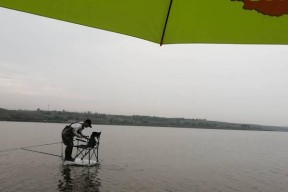 大风天水库钓鱼技巧（钓鱼爱好者必备的钓技和经验分享）