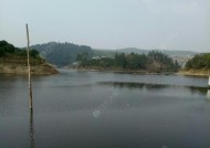 夏天山塘水库钓鱼技巧（掌握这些技巧）