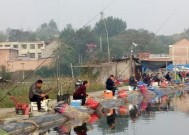 钓鱼偷驴技巧教学（掌握捕鱼技巧，轻松驭驴行）