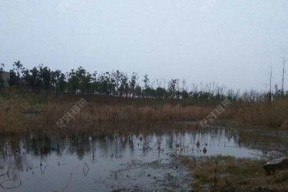 鱼塘雨天钓鱼技巧（掌握雨天钓鱼要点）