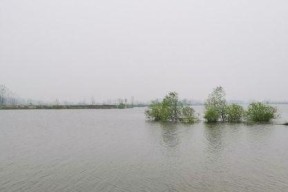 冬天钓鱼的技巧——山顶水库的钓鱼之道（山顶水库冬季钓鱼技巧）