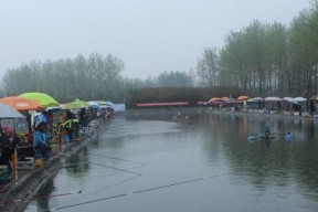 秋雨天钓鱼技巧教程（掌握雨天垂钓窍门）