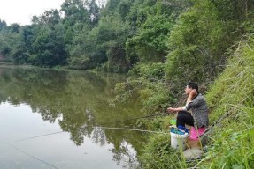 自然水域选钓位的技巧（提高钓鱼成功率的十五个实用建议）