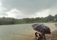 暴雨水库钓鱼技巧（以暴雨水库为舞台，挑战极限，体验极致钓鱼乐趣）