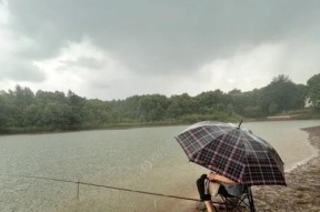 暴雨水库钓鱼技巧（以暴雨水库为舞台，挑战极限，体验极致钓鱼乐趣）