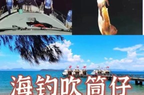 海南夜钓鱿鱼的技巧与方法（掌握关键步骤）