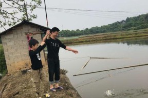 春夏鱼塘钓鱼，选择钓位也有技巧（钓位选择，提升钓鱼成功率的秘诀）