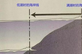 防波堤钓鱼的技巧与方法（提高钓鱼成功率的实用经验分享）