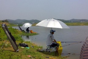 高温肥水钓鱼的饵料技巧（利用适合高温的饵料提高钓鱼效果）