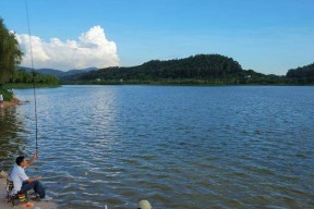 夏日钓鱼技巧大揭秘（挑战炎炎夏日）