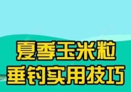 雨水钓鱼的正确方法与技巧