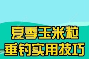 雨水钓鱼的正确方法与技巧