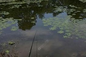 河沟桥洞钓鱼技巧法（揭秘钓鱼技巧）