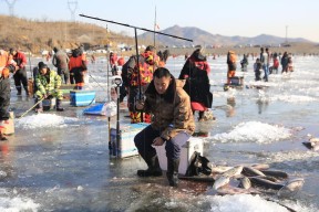 冬季水库钓鱼的选位技巧（冬天水库钓鱼）