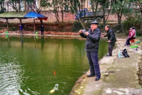 浅水钓鱼的技巧与窍门（掌握浅水钓鱼技巧）