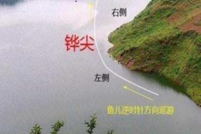 揭秘钓鱼套路（提防网络诈骗，保护个人信息安全）