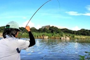 夏季海钓鱼的技巧与方法（解密夏天海钓鱼的绝佳秘籍）