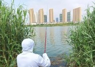 寒冷夏天钓鱼技巧（应对极端天气）