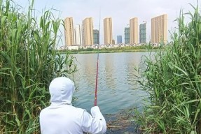 寒冷夏天钓鱼技巧（应对极端天气）