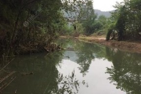 茅子河水库钓鱼技巧与方法（探秘茅子河水库）