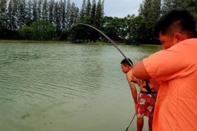 死水河的肥水钓鱼技巧（让你在死水河中轻松钓到丰收的秘籍）