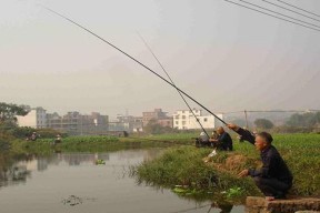 以跑铅钓法在流水垂钓中的使用技巧（提高钓鱼效率的关键技巧）