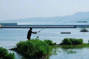 山东霜降钓鱼技巧（掌握技巧）