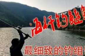 东莞野钓鲢鳙技巧（掌握东莞野钓鲢鳙的技巧与窍门）