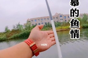 麦子钓鱼技巧大揭秘（掌握精湛技巧）