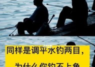 中秋河流钓鱼技巧（提高钓鱼成功率的关键技巧）