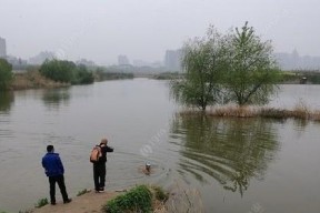 雨天钓鱼技巧（雨中钓鱼）