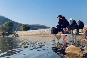 水质偏肥钓鱼技巧教程（掌握钓鱼技巧）