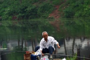 钓鱼技巧与讲解（掌握钓鱼技巧，享受捕鱼乐趣）